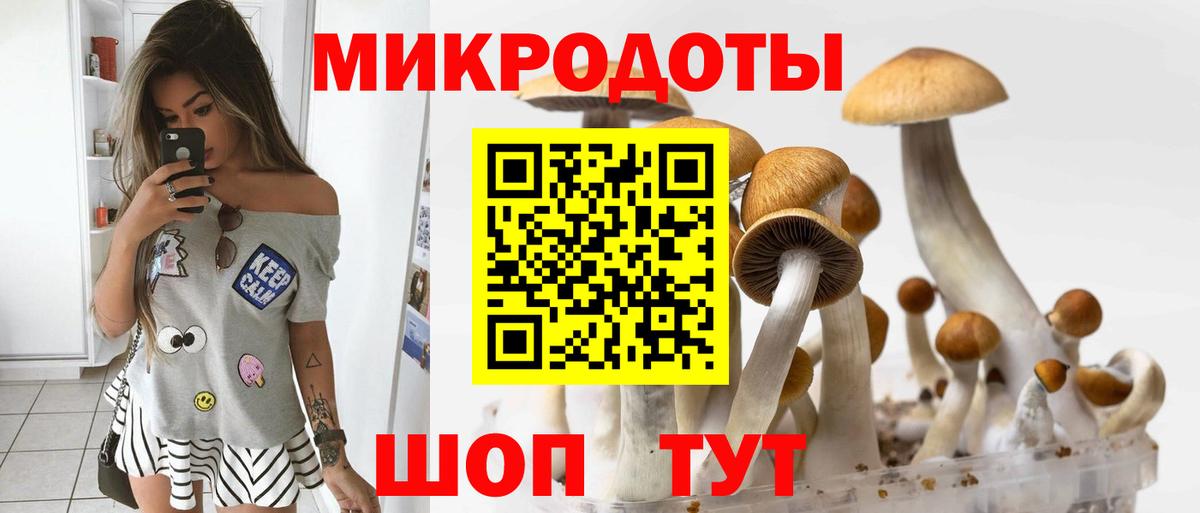 Алексеевка  Псилоцибиновые грибы мицелий  Вход с VPN 